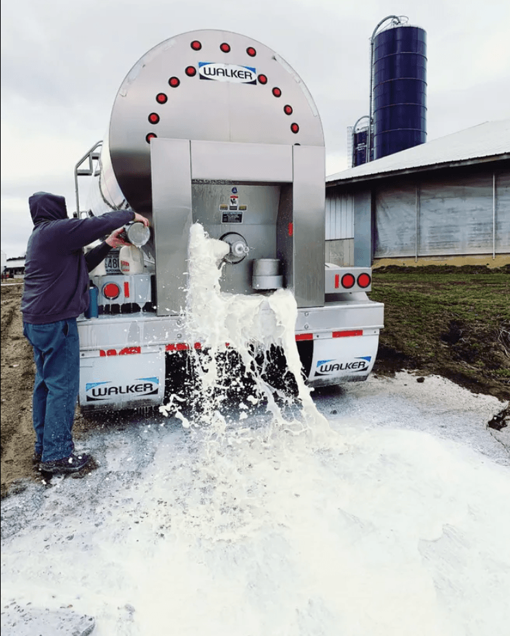 Covid-19 image gallery, image 4 of 5